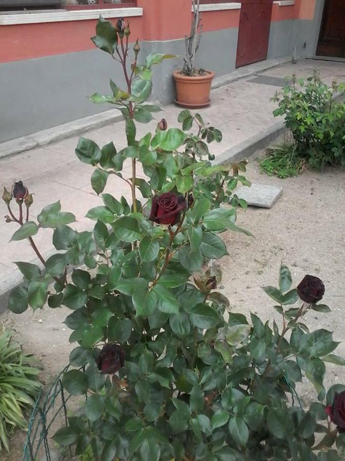 Bed and Breakfast Perbacco Sartirana Lomellina Exterior foto